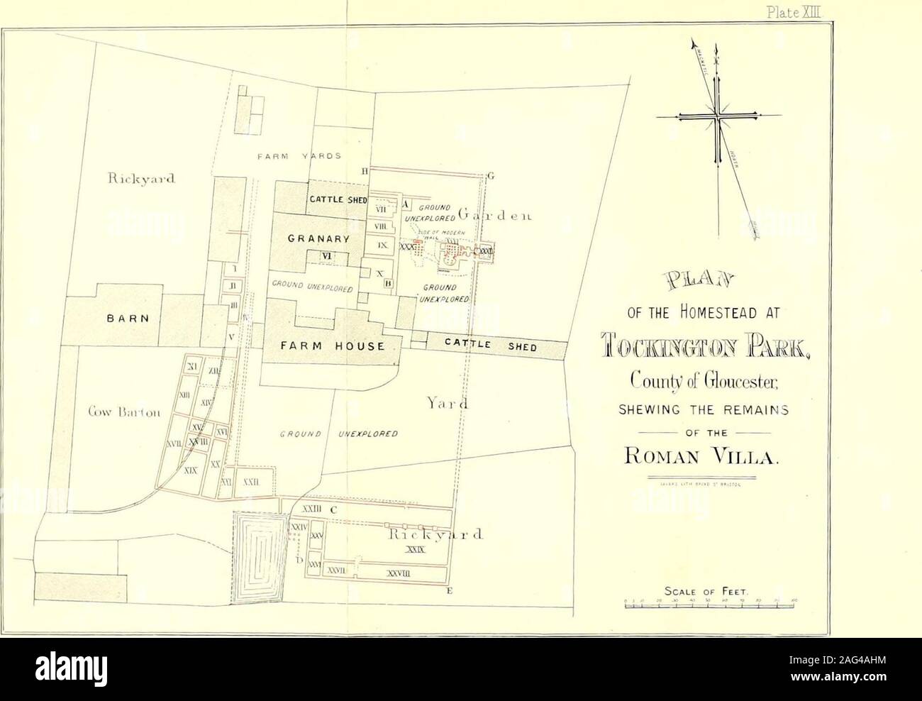 . Opérations du Bristol et Gloucestershire Archaeological Society. Banque D'Images