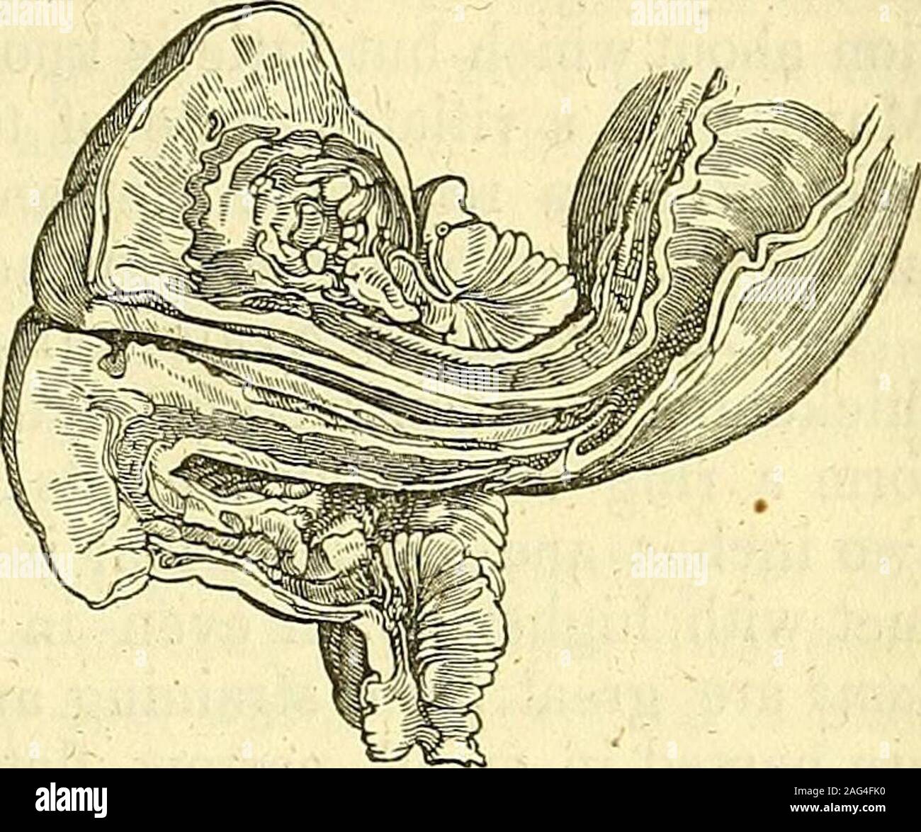 . Les principes et la pratique de la chirurgie moderne. ld, l