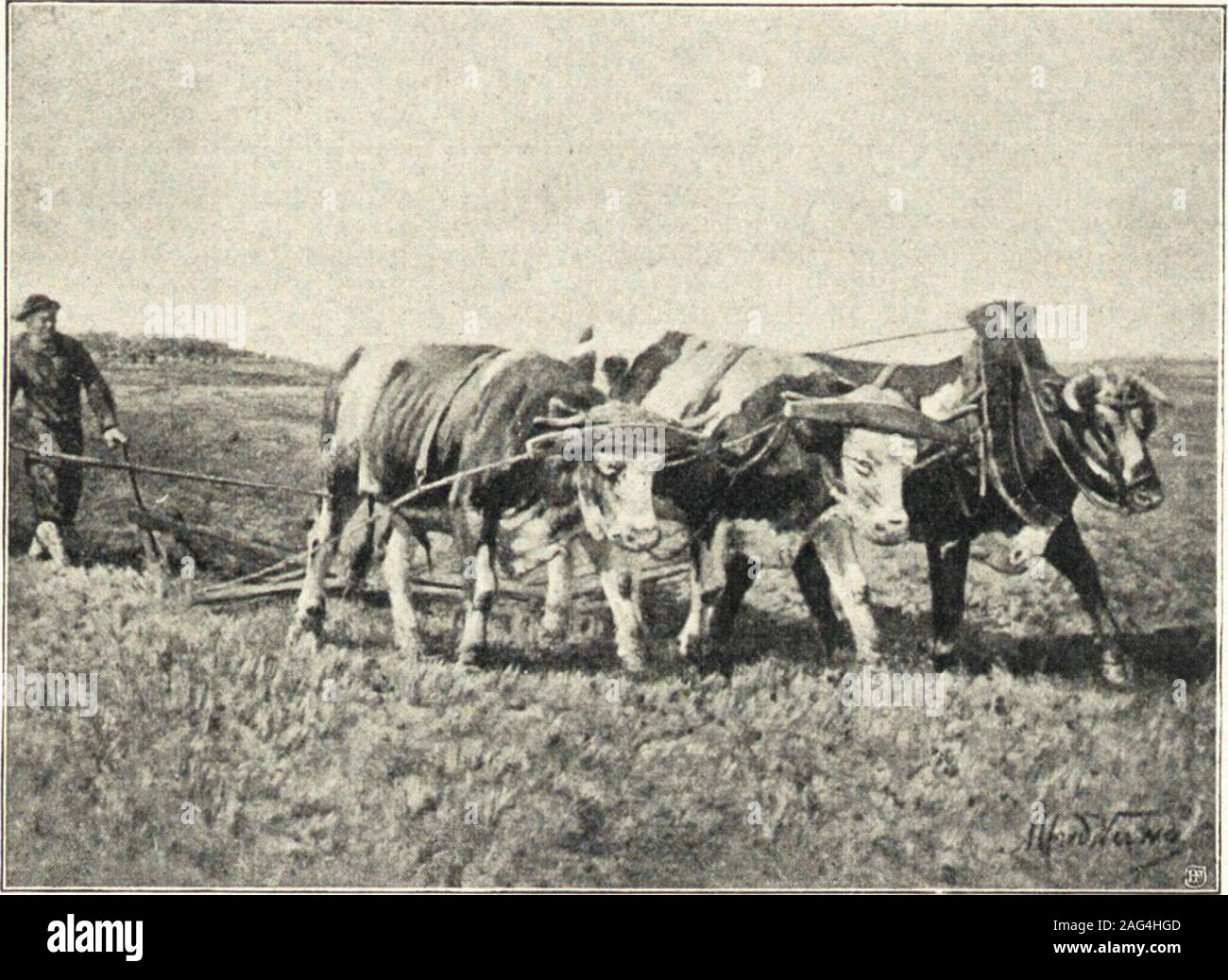 . Belgische Kunst des 19. Jahrhunderts. du GAFI. 2tbb. ^05. LlfreD Denpee pflügenbe 2 : ©djfcn. berbe. Fyart roirfenben Seine etmas crfdjeinert geftodjen Bilber efgir. ^ufctll nidjtsbem da ift überlaffen, unb es fit nid]t bas geringfte Künftlcrs bes Calent, ba$ er esuerftanb^iüon, feine Prä mit einer üollfommenen l)armonie bes (Banken 3U d'uerbinben.Cr brad)tc einen Ceil bes 3a dans Knocfe^ ?rcs, un Icorbfee 511 beu Ufern ber, bortftubierte unermüblid unb er ? Fclnben nxcf bie/ee, GAFI ber 60 3ar ?re un^ ftarb fyatte lücf, bas ©, im Dollen 23feinerKräfte cfit&gt ; 511 bleiben ben unb Sieg jener mit Prinsipien Banque D'Images