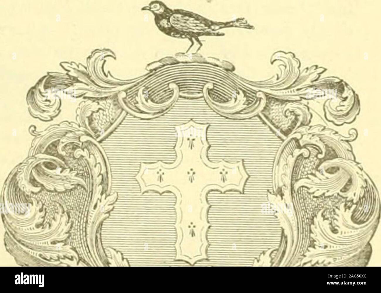 . L'histoire et généalogies de Windsor, Connecticut : ancienne ville, li. Sejit istjtj,.. David, b. 8. l'Apl, 171,5 ; d. :Jl hme., 1727. ^VBLR (. b. 7 janvier, 1728 . : ni. Le colonel Beniamin Hin-man ; d. 7 Ma.v, 1783 ; a 4 ch. STOCKING, Elizabeth (DAU. Samuel), bp. 16 août, 1793.-£. 11, C. R. Stone, John W., m Mary Kimball,:i8, novembre 1816,-5. B. STOORS, Sophia, m. .Tosiab Washburn de Norwich, Mass., 19 février 1797,- w. c. n. STOUGHTON. Une famille de remote antii|uil,y dans le comté de Surrey, Engof Stephen King (li;5r)-,)4) Dieu-win de Stoiton res. à Stocton inthat Co, à la 8e année d'KingEdward J, Henry de Stocton Banque D'Images
