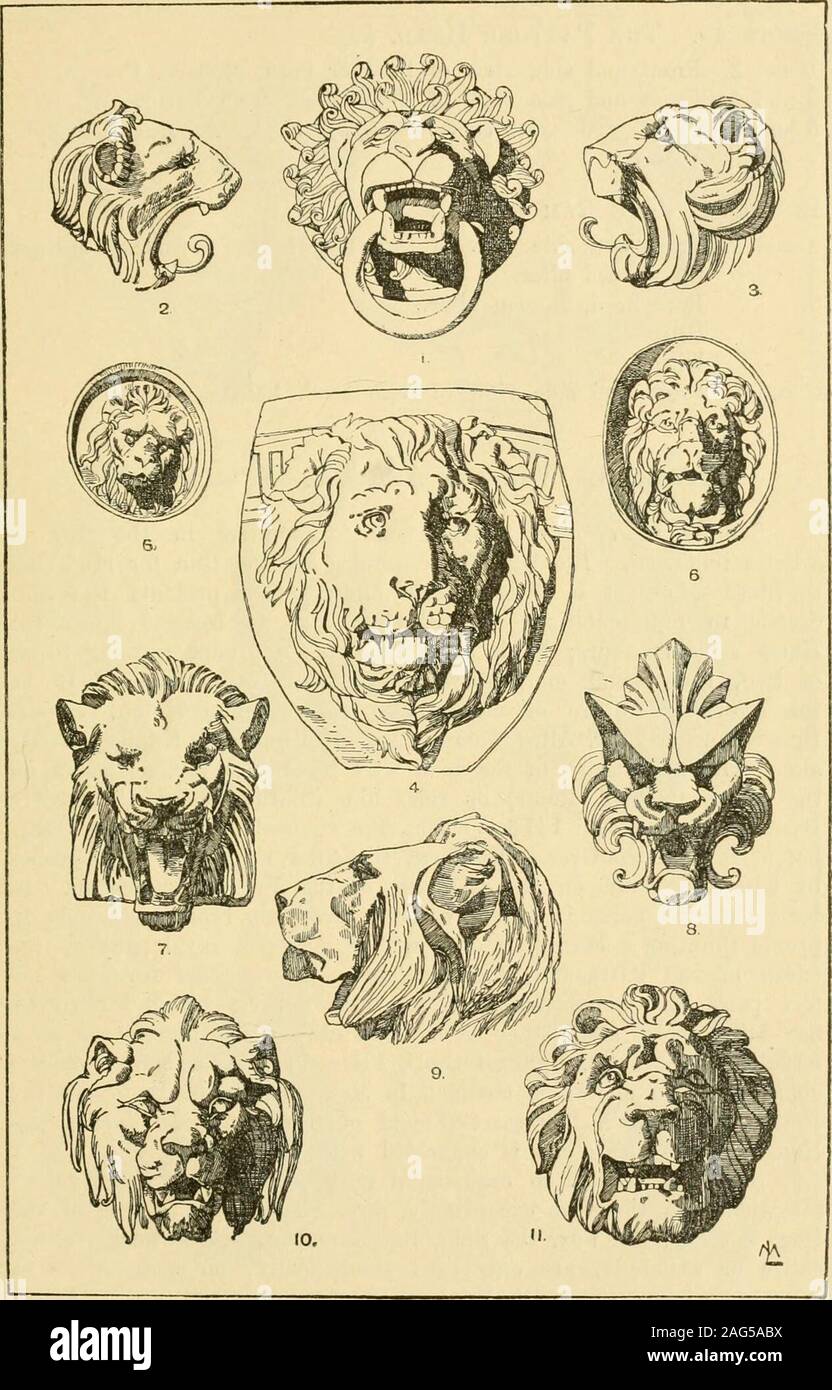 . Manuel de l'ornement ; une grammaire de l'art, la conception architecturale et industrielle dans toutes ses branches, ainsi que des pratiques d'utilisation théorique. 47 de la plaque. La tête de lion. Formes naturelles.. La tête de lion. 48 de la plaque. 76 chefs de divers animaux. Fr^TE 49. La tête de la panthère, &c. 1 et 2. Vue avant et latéraux de tête de panthère, moderne, en français.8 et 4. Vues avant et latérale de la tête de tigre, de nature.5 et 6. Vues avant et latérale de la tête de lynx, des antiquaires,Gargouille de Vatican. Pr^rE 50. L'Ar3i Head, &c. 1 et 2. Vues avant et latérale de la tête, à l'angle de la Chimère à trois faces d'autel. 8. Tête de jambon, autel romain. 4. D Banque D'Images