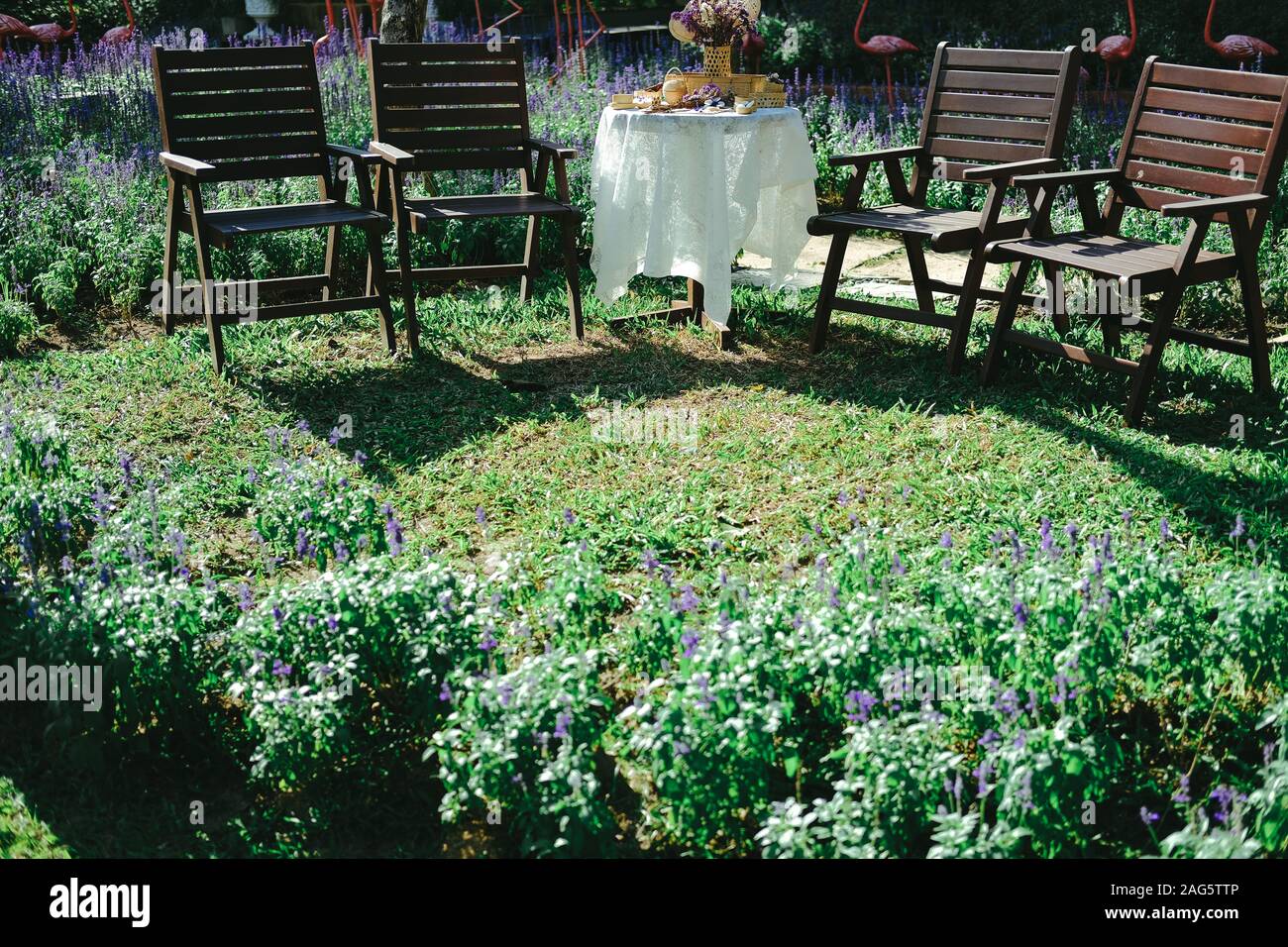 Chaise en bois en fleur pourpre jardin parc Banque D'Images
