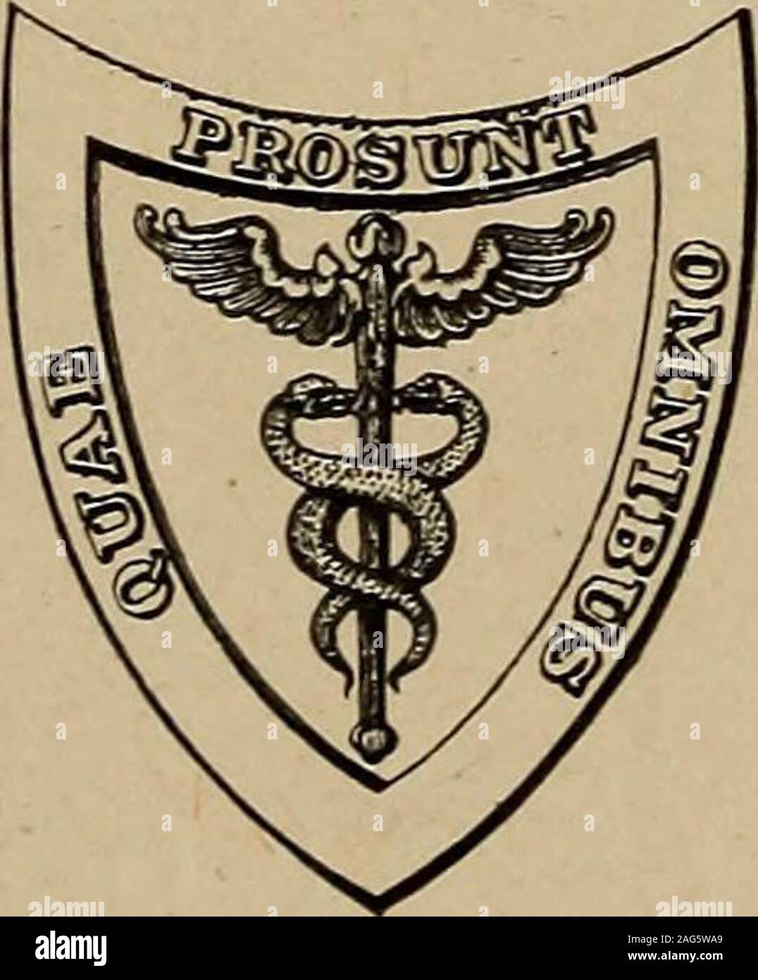 . La métallurgie dentaire, pour l'usage des étudiants en médecine dentaire et les praticiens. mi. La stèle. LEA et FEBIGER PHILADELPHIE ET NEW YORK1917 .31 Copyright LEA et FEBIGER rt 1917 j*t jun 15 1317 UN OD 4629811 EN SIGNE D'APPRÉCIATION ET OFRESPECT Je tiens à dédier ce traité à l'UN QUI J'examen passé maître dans l'ART DE TRAVAILLER LES MÉTAUX WALTER M. BARTLETT, D.D.S. Avant-propos. Dans ce manuel sur le thème de la métallurgie dentaire J'haveendeavored à mettre l'accent sur les propriétés de l'variousmetallic éléments qui présentent un intérêt particulier pour l'thedentist. Comme dans toute autre science, il y a des branches qui border Banque D'Images