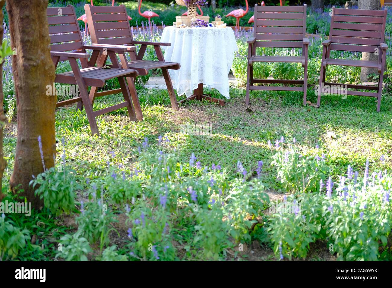 Chaise en bois en fleur pourpre jardin parc Banque D'Images