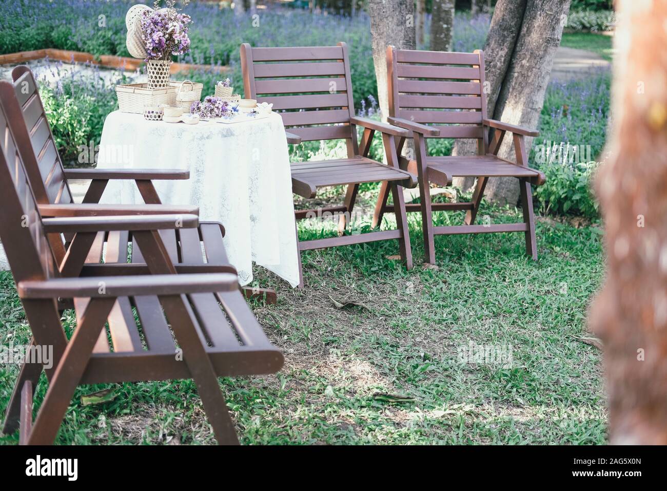 Chaise en bois en fleur pourpre jardin parc Banque D'Images