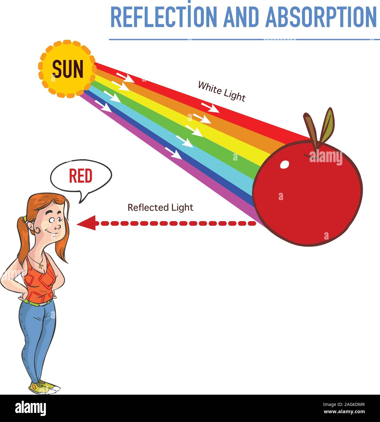 Réflexion et absorption vector illustration Illustration de Vecteur