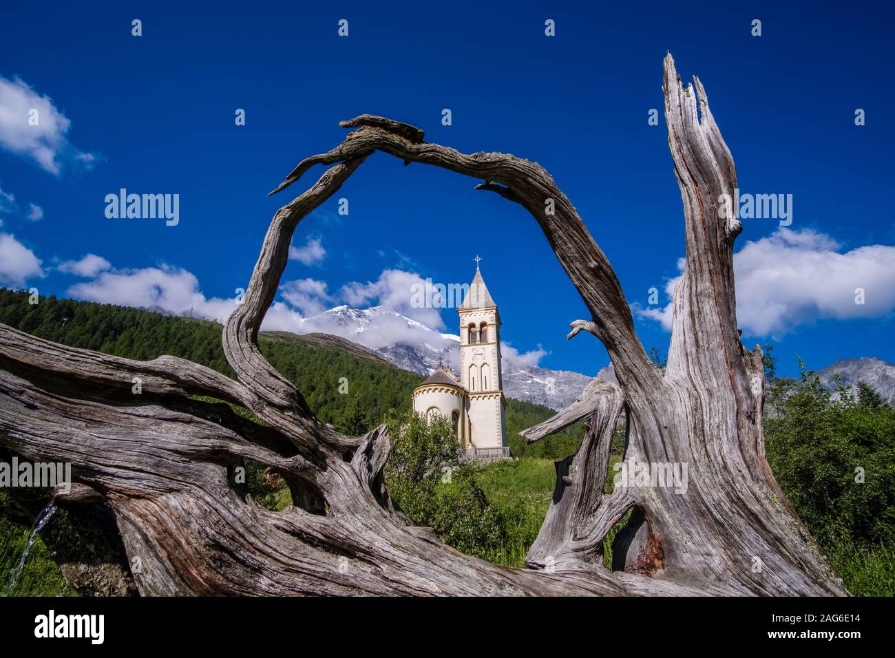 L'ancienne église paroissiale Saint Gertraud vu à travers un gros arbres racine, la gamme Ortler avec le sommet de l'Ortler dans la distance Banque D'Images