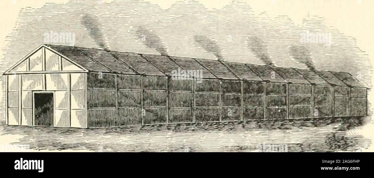 . La Nouvelle France et de la Nouvelle Angleterre. eles ou Long Lake, ont depuis que beenknown Onondagas, ou des hommes des collines. La région du centre vers l'fromthis personnes ont été appelés Onneiouts, ou menof les rochers (ou peut-être les hommes de granit), de blocs erratiques de theprofusion éparpillés sur leur territoire. St-loin à l'Est, et le plus connu de ces guerre confédéré-riors, étaient les personnes qui appellent eux-mêmes, ou ont été calledby Caniengas, leurs parents, ou des personnes de l'thatwas silex utilisé pour trouver le feu ; ils sont surtout connus pour l'histoire, cependant, par le nom de Mohawk, ou croqueuse d'hommes, leur bestowedupon par th Banque D'Images