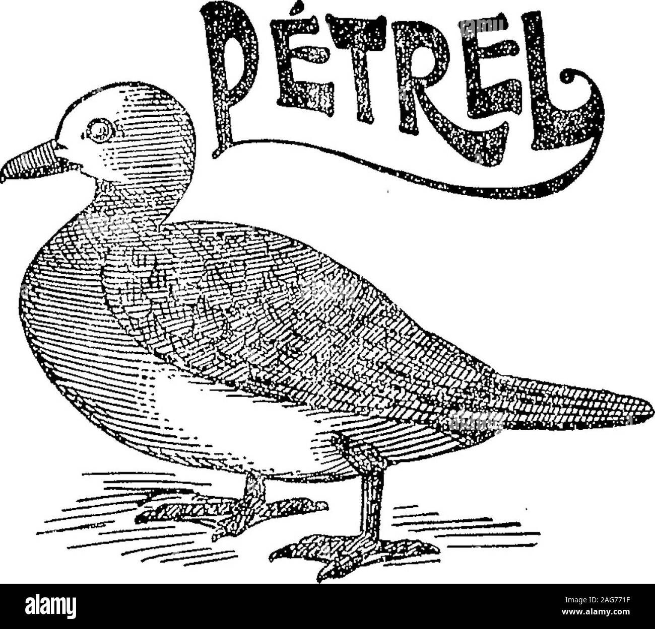 . Boletín Oficial de la República Argentina. 1907 1ra sección. 19.41 Aucun Aeta* équipes d'¿^^ ^^m u l'accessibilité diciembre 14 de 1906. - J. Prunier y Co.-Cognac de la clase 68. (Modifiée) v 16 marzo /beta non 20 038 *CAPSULOIDS" Marzo 8 de 1907.-l'Capsuloid Íny Compa- Ltd.-Onu médicinales preparado y de toca-dor de las clases 58 y 79.v 16 marzo". 1122 boletín oficia*. Acta 30,039. 8 de marzo de 1907.-Villeraur Angela de pétrel.-Artículos de las clases 48, 49 y 52. v 16 marzo". ¿IfflSa M9 5 ! O.OS JE Banque D'Images