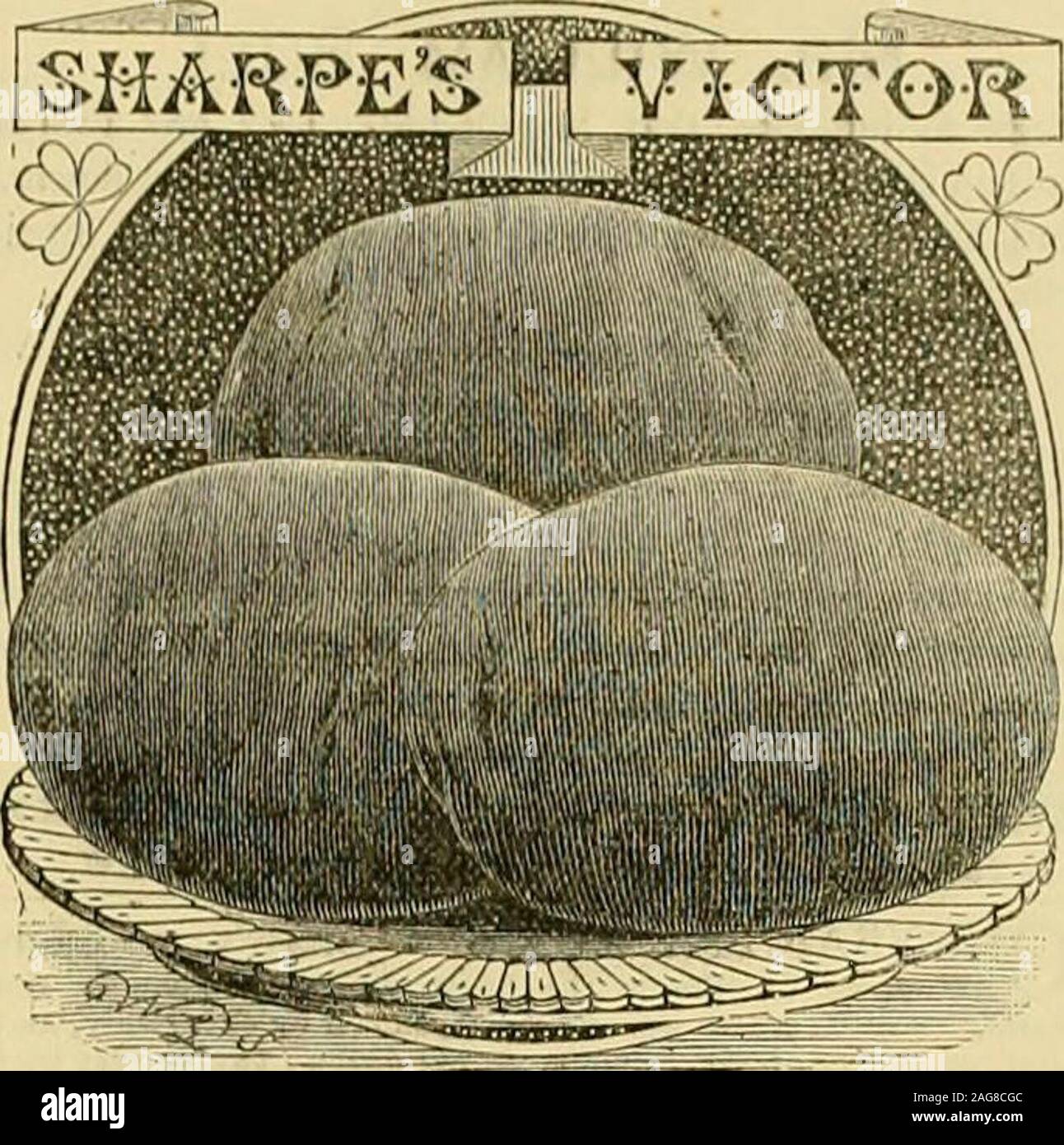 . L'Gardeners' chronicle : un journal illustré hebdomadaire de l'horticulture et des sujets. 3° ° JE LES PRUNES, pyramides, 4 à 6 m 18 o " 11 , extra-forte .. 21 o je noix, 6 à 8 pieds 12 o JAS. Le cumin et Co., le Durdham,pépinières, Clifton Bristol. ownselection ofvarieties. 10 o par CIO. 15 o par doz.18 o ,, CHARLES SHARPE & CO., SLEAFORD. La première de toutes les patates.. SHARPES VICTOR. Sharpes Victor est un semis a soulevé de l'Kidneyand Alma l'ancien début haut de la pomme de terre ronde. Il est à l'heure actuelle, diverses thanany et avoir une très courte haut est especiallysuitable pour cadre cultivat Banque D'Images