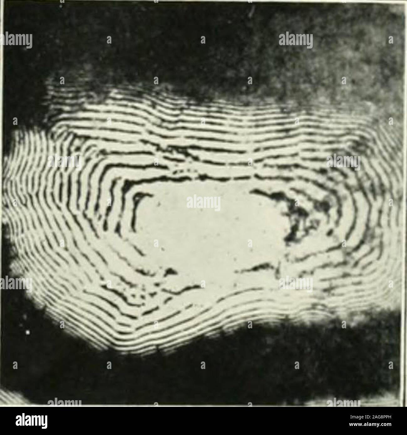 . Journal officiel. J-v  W. Fig. 7. Fio. 8. /Ourna/ o///o/ il Induilry Société Chimique. Pour faire face à la page 4J0r, 1922. Vol. XG !, no 19] EXAMEN 411 microscope R indique qu'il a un suspcnsoid l e texte. Le refroidissement plus lent encore pearliteis obtenue et la structure rappelle le phénomène de l'veryStrongly precipita t-périodique inn. Fig. 8 montre les anneaux de Liesegang le obtainedby ingelatin les précipitations d'argent chromato. Ces rappeler l'apparence d'un pearlitein très saisissante. Nous voyons donc que la chimie colloïdale,donne un explanationf raison tho pour l'étrange structure laminée de Banque D'Images