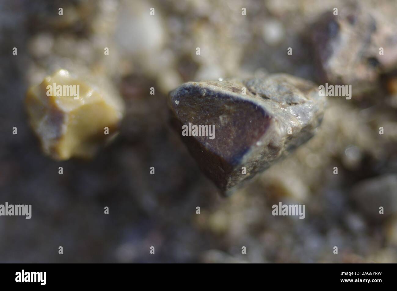 Vue rapprochée d'une petite pierre sur le sable Banque D'Images