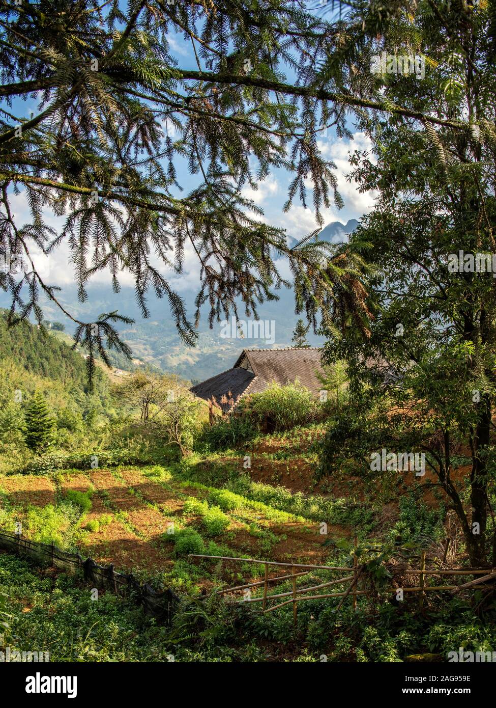 Une vue sur la vallée de Muong Hoa, Sapa, Lao Cao Province, Vietnam Banque D'Images