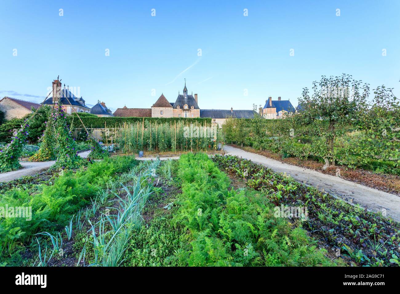 France, Loiret, la Bussière, Le Château de la Bussière Parc et jardins, potager // France, Loiret (45), La Bussière, parc et jardin du château Banque D'Images