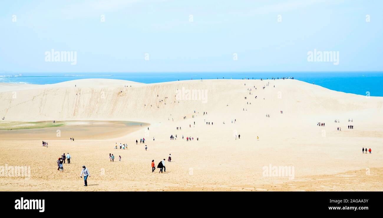 Les célèbres dunes de sable de Tottori dans l'ouest du Japon, préfecture de Tottori Banque D'Images