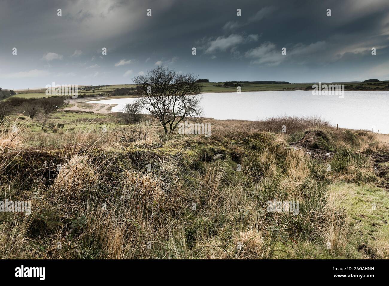 Le moorland sombre robuste autour du lac Colliford sur Bodmin Moor en Cornouailles. Banque D'Images