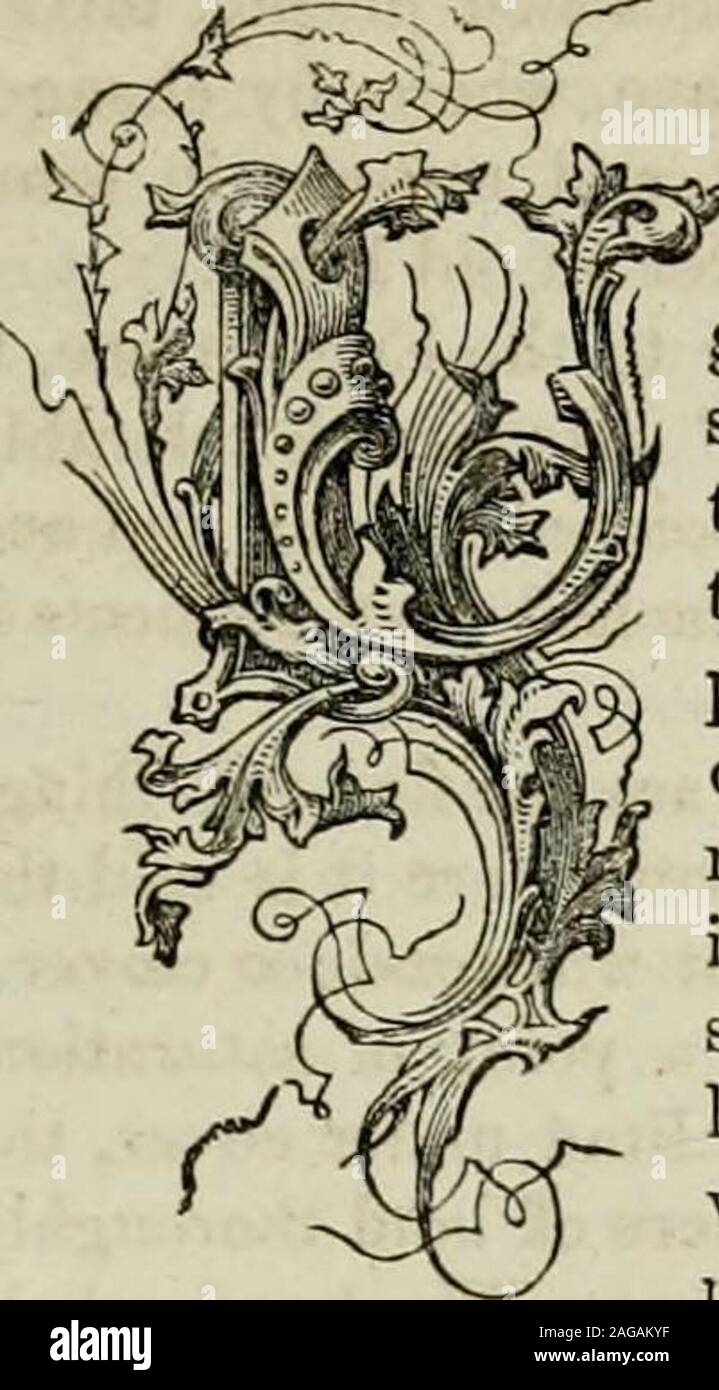 . Faits pour les agriculteurs ; aussi pour le cercle de famille. Un compost de matériaux riches pour tous les propriétaires des terres, sur les animaux domestiques et de l'économie domestique ; les bâtiments de ferme ; les jardins, orchidées, et les vignes ; et toutes les cultures agricoles, des outils, des clôtures, fertilisation, drainage, et l'irrigation. itscultivation reats sur. 743. Préparation de blé-sol.-Dans les sols vierges, tels que ceux qui obtainedby le broyage et l'incendie d'une forêt, d'une récolte de blé est souvent obtenu du travail dans withoutmuch la préparation du sol, parce que la semence trouve le propersustenance pour nourrir ses jeunes pousses, et à tous les stades de la croissance, en thedecaying Banque D'Images
