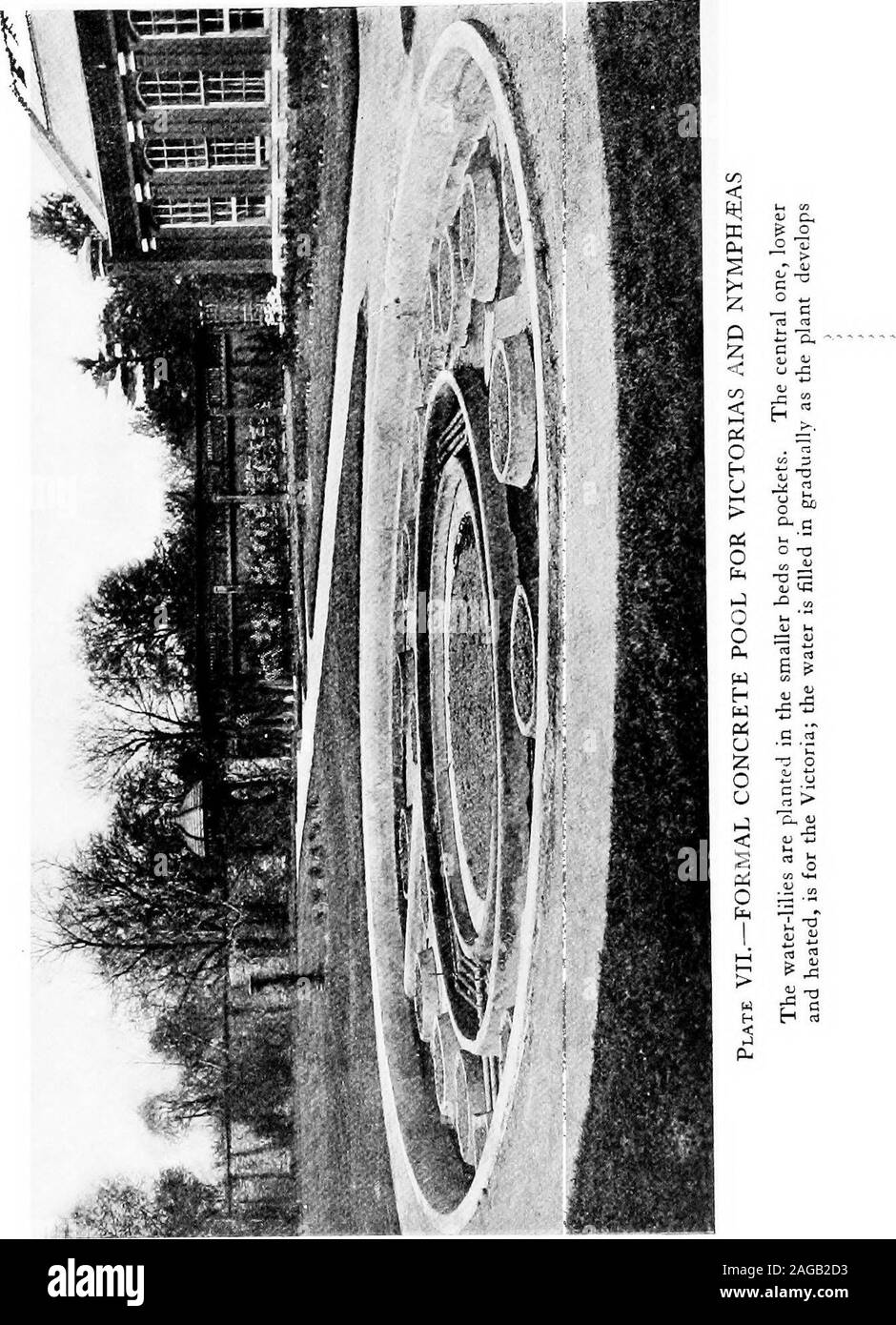 . Des nénuphars et comment les cultiver, avec des chapitres sur la bonne réalisation d'étangs et de l'utilisation de plantes accessoire. •^a o h o e ^^ B H H| Sg ^^. C H A H 3 n'est •s- hh o J'^^p h i;5 a. HH &Lt ; B hWH v4 !^-^ 9b fi&lt ; 0 d 0) ^ « 9 W X 11 PS o ? -Un ?2 S (n , . M l-i q u JS- g ; kj o 1 O c ^ FLh j" 1 1-1 L/1 -un w -- T3 H 4-. 3 &Lt ; ^ ^ f &Lt ; S s •5,2 cu-. CONSTRUCTION DE L'ÉTANG ÉCONOMIQUE 2/ trois pieds de profondeur, et les murs, six pouces d'épaisseur,incline vers l'intérieur en l'inclinant légèrement. Le bottomis quatre pouces d'épaisseur, et est, comme les murs, construits en pierre de sable, ciment et Port-land, l'ensemble ayant un linin Banque D'Images
