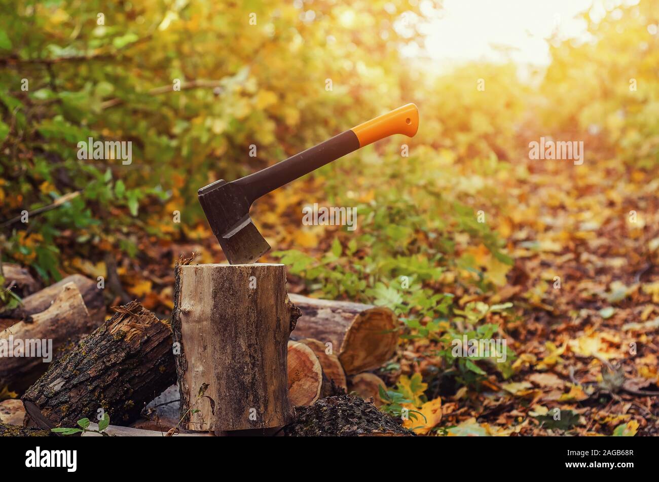 Bois de chauffage, sharp ax qui sort dans un journal, la nature, la forêt, l'automne, l'herbe journée ensoleillée, close-up. Banque D'Images