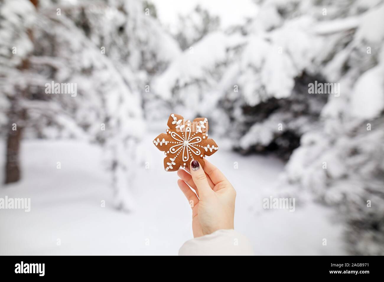 Girl holding ginger bread cookie dans la forêt d'hiver au moment de Noël Banque D'Images