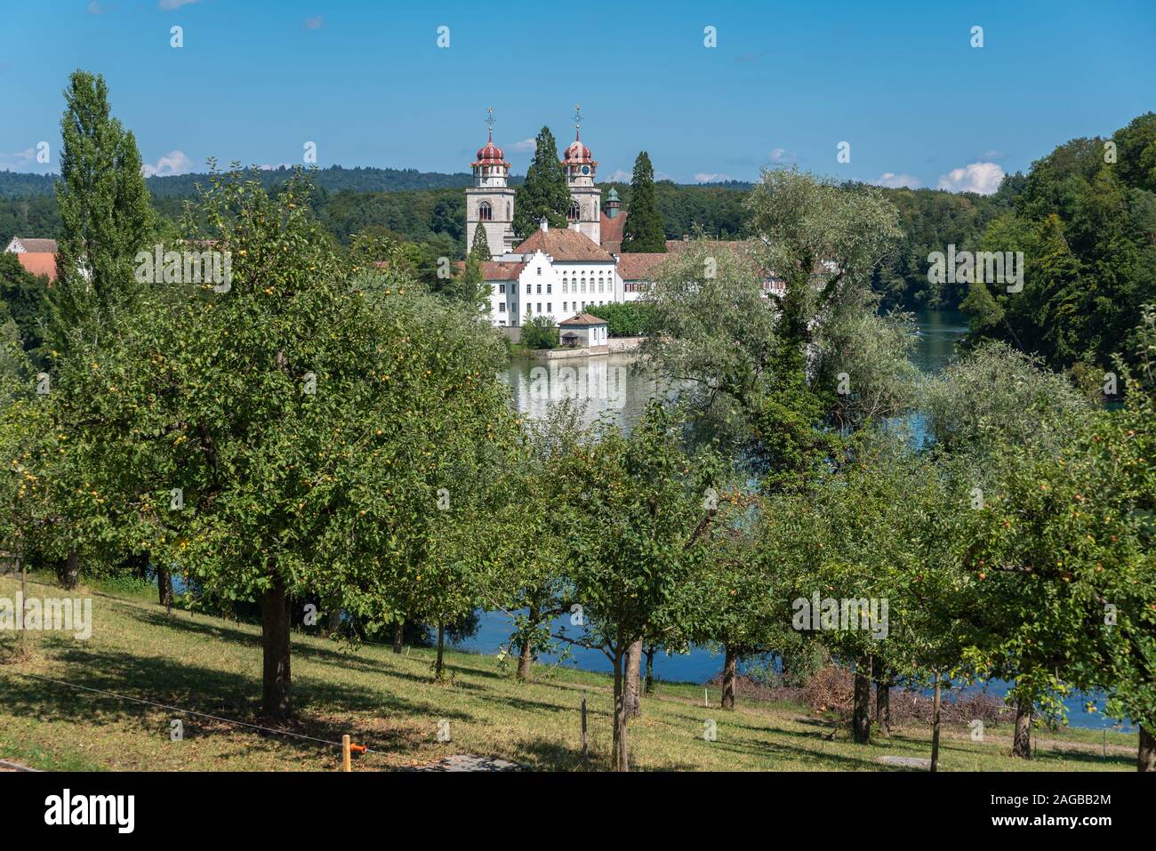 Paysage avec le Rhin et le monastère de Rheinau, l'île, dans le Canton de Zürich, Suisse, Europe Banque D'Images