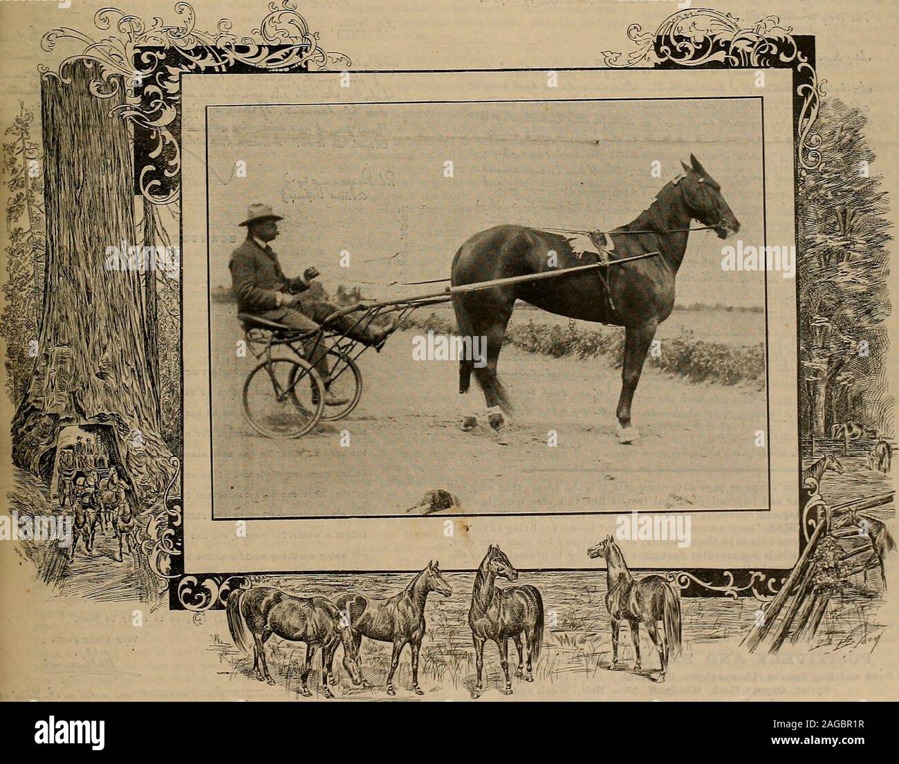 . Source et sportsman. Lo. XT-TTT. N° 9• Geary Street. SAN FRANCISCO, Samedi, Août 29, 1903. SUBSCRIPTIONTHREE DOLLARS une larme. Le PREMIER ET SEULEMENT DEUX MINUTES DE TROTTER LOU DILLON Jument Alezane par Sidney Dillon, barrage Lon Milton Milton par Medlnm. Produites à Santa Rosa Stock Farm, Santa Rosa, Californie Administré par C. K. G. Billings formé et entraîné par Millard F. Sanders enregistrement 2:00 faite à Readvllle la voie, de masse , lundi 24 août, 1903. Par "temps"uart rs : 0:30:30 1-4 0 1-2 0:30 1-4 0,292 il girueturr gtpcn ®mtb-tertttatt [29 août, 1903 j£JPP -MARQUE - W^&gt ;" SPAVIN guérir. En buis. LYME, CONN. ^& Banque D'Images