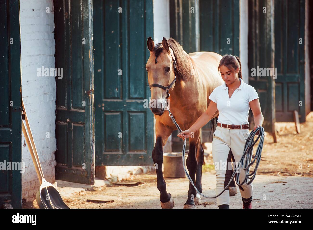 Se préparer pour le tour. Cavalière en uniforme blanc avec son cheval à la ferme. Prêt pour la balade Banque D'Images