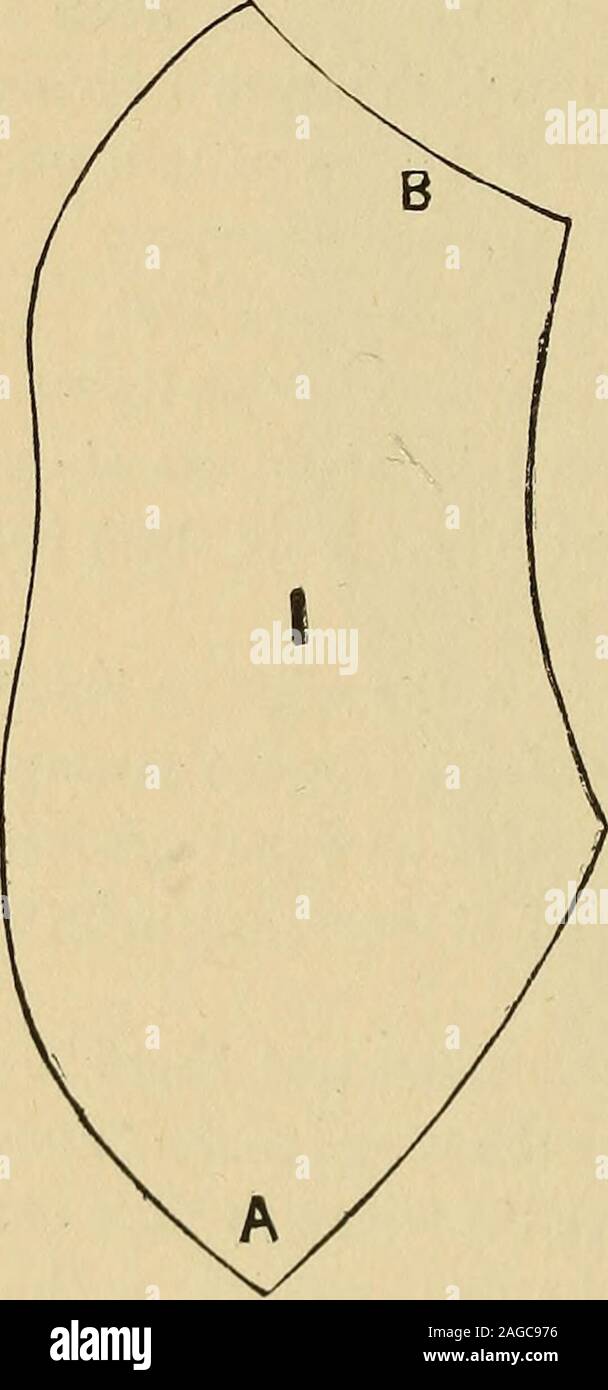 . Industrielle du Blakelee cyclopedia, un simple guide pratique ... À titre de référence et un réservoir d'informations utiles. Plus de deux cents illustrations. les oiseaux ou aile goglus et appuyez sur itout télévision jusqu'à ce qu'il sèche, et vous aurez une belle fleur double, qui n'a besoin d'unebrosse métallique tige. Des prairies et des plumes de pintade make nice fleurs tacheté de pois plumes.pintade réponse bien vert, et certaines des plumes sur son bodymake belles fleurs veloutées. Utiliser deux tailles de fil-les pour les tiges et le vent thestem à plus fine de chaque pétale de fleurs telles que les roses avant qu'ils sont fo Banque D'Images