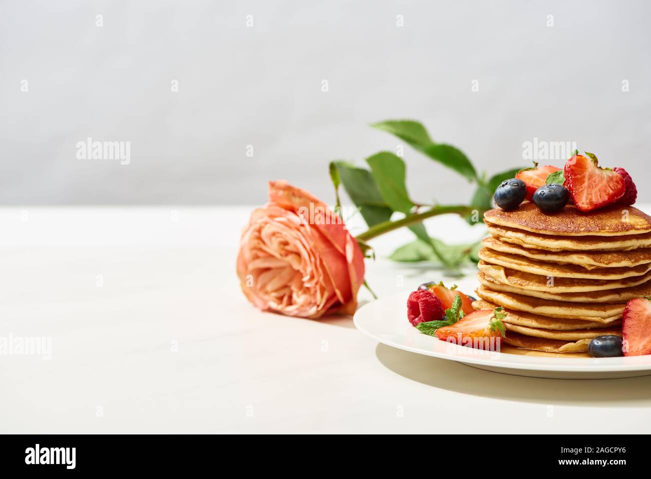 Focus sélectif de délicieuses crêpes aux bleuets et fraises sur la plaque près de rose sur la surface blanche isolé sur gray Banque D'Images