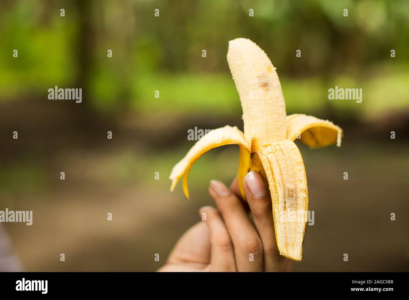 Personne tenant une banane à moitié pelée sur un fond flou Banque D'Images