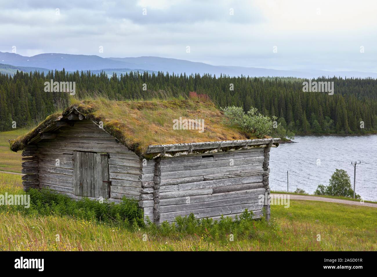 Ancien chalet en bois avec toit en mousse près de Jormlien, Gäddede, Wilderness Road (Vildmarksvägen), Suède Banque D'Images