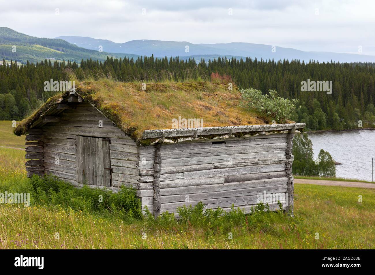 Ancien chalet en bois avec toit en mousse près de Jormlien, Gäddede, Wilderness Road (Vildmarksvägen), Suède Banque D'Images