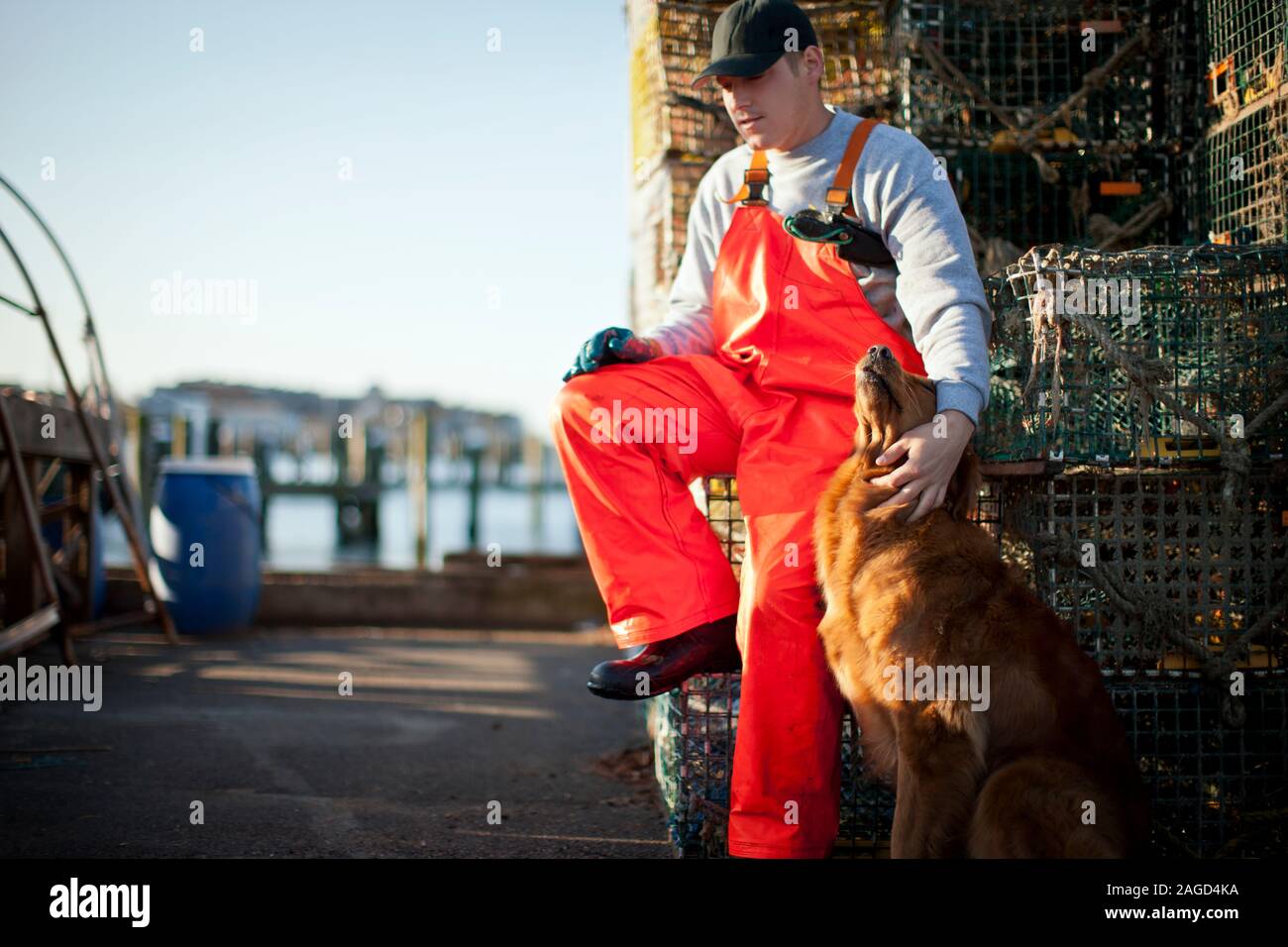Jeune pêcheur portant des bretelles de flatter son chien à un quai à côté  de paniers de homard Photo Stock - Alamy