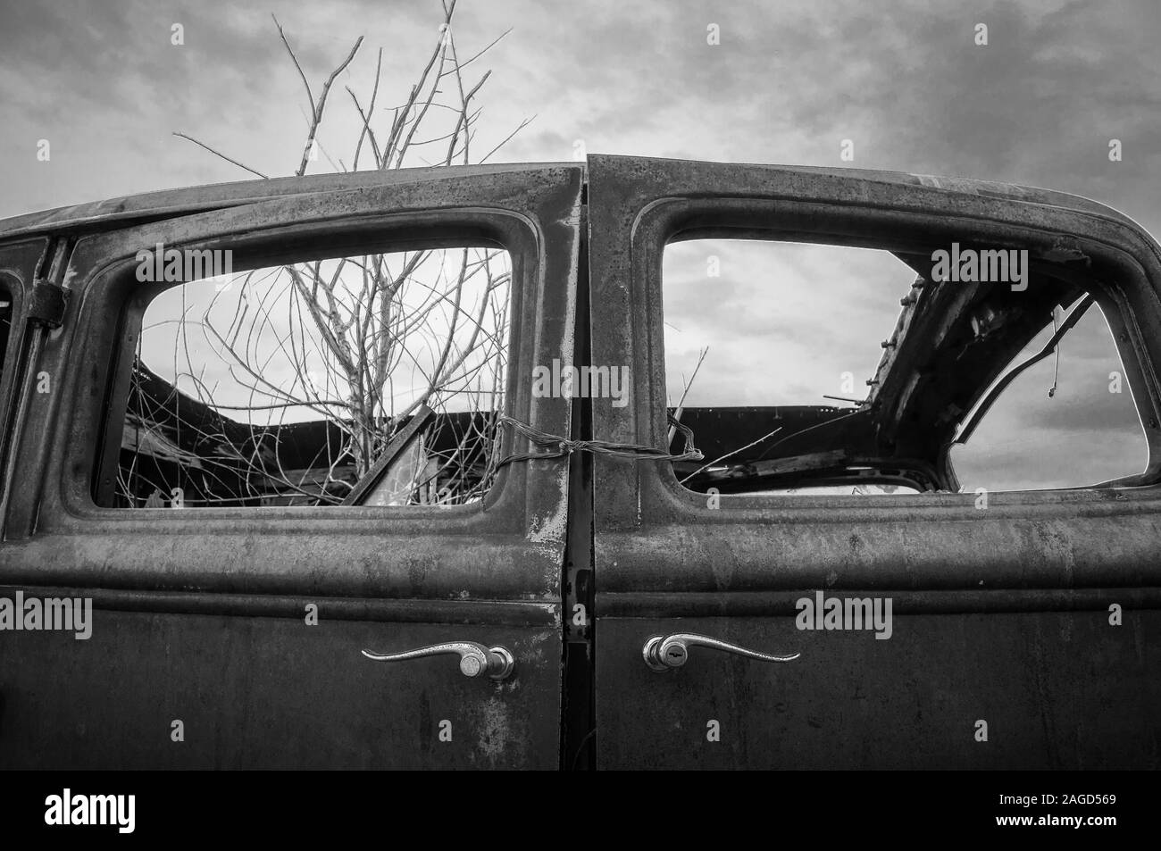 Prise de vue en niveaux de gris de branches d'arbre sèches dans une voiture d'époque sous le ciel sombre Banque D'Images