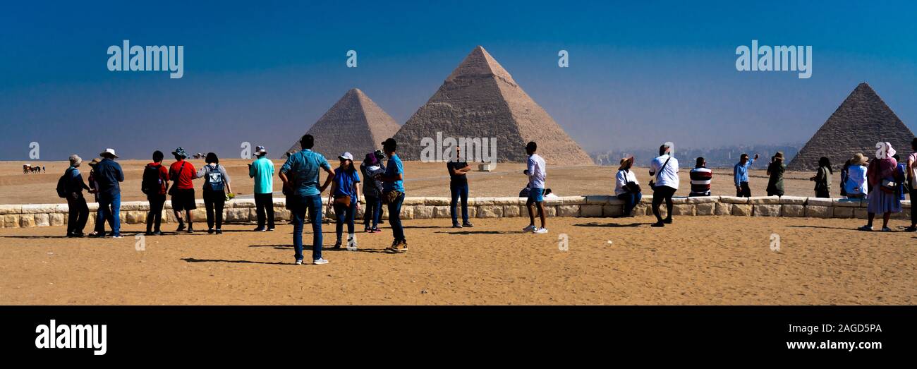 Novembre 2019, LE CAIRE EGYPTE, Camel en face de grandes pyramides de Gizeh, Le Caire avec les touristes Banque D'Images