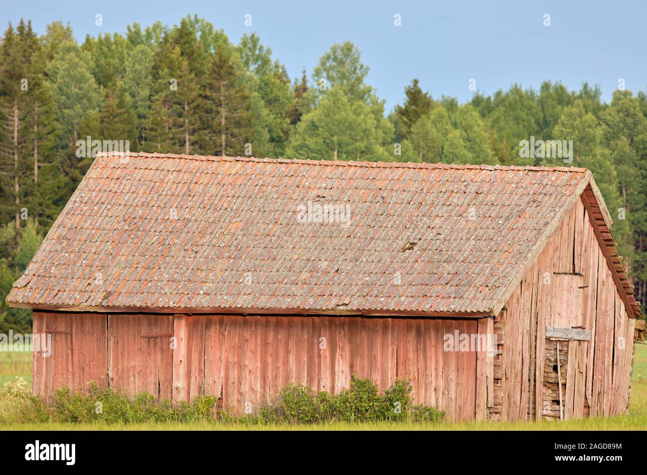 Ancienne grange en bois qui se désagrège à Roslagen, en Suède Banque D'Images