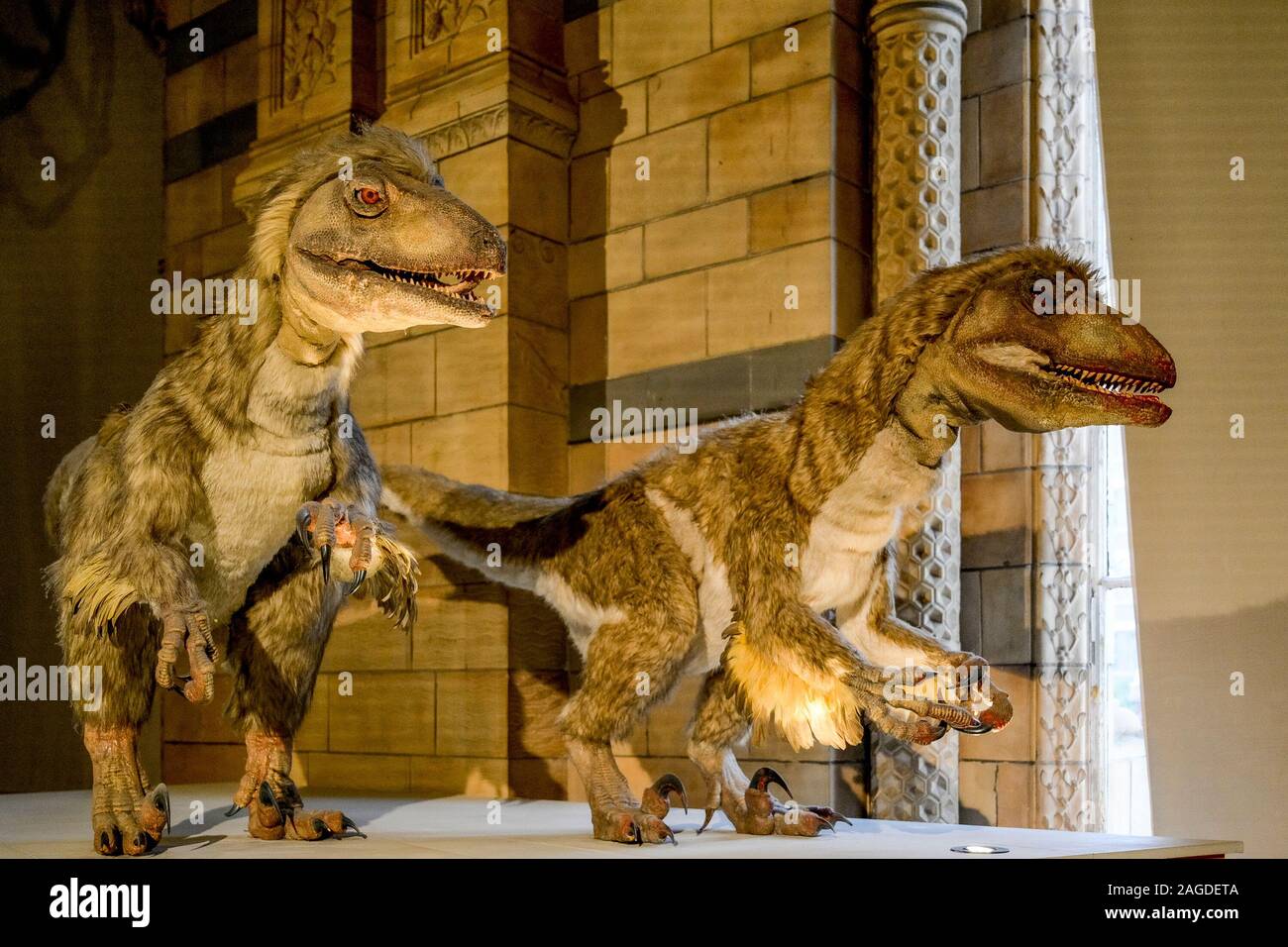 Dinosaures, animatronique, Natural History Museum, London, England, UK Banque D'Images