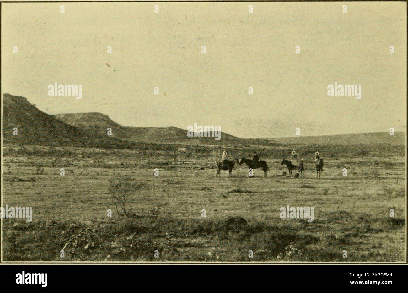 . La géographie du Texas, physiques et politiques. Fui. 12. Ox scène PlateatFort Stockton Stockton dans la distance ; une mesa en arrière-plan montagnes Trans-Pecos, une région coupée du Edwardsplateau par la vallée de la Pecos. Son aspect général iswell illustré dans Figr. 12. Le plateau d'Edwards est une continuation de l'Grandprairie, dont il a été séparé par le valleyscut par le fleuve Colorado et ses affluents. Comme theGrand prairie il repose sur des roches du Crétacé. 24 le long de la GÉOGRAPHIE DU TEXAS ses marges de l'Est et du sud il a été beaucoup dis-sected et, par conséquent, est f Banque D'Images