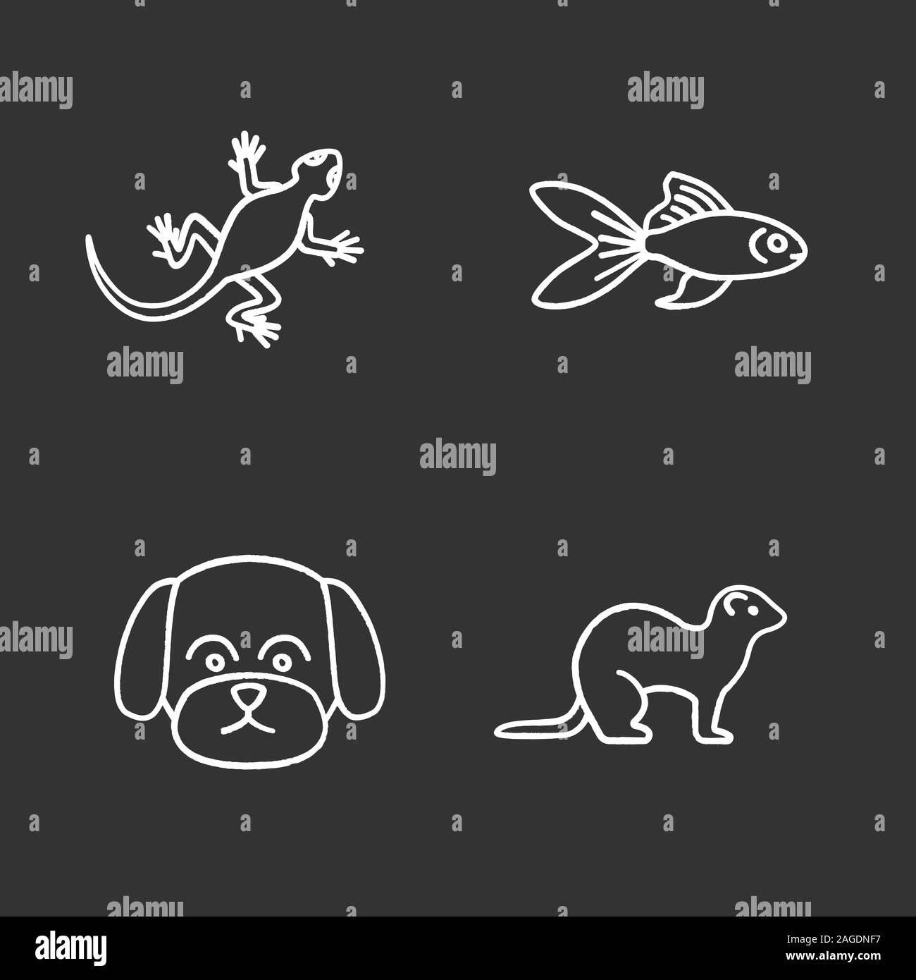 Chalk animaux icons set. Lézard, poisson rouge, maltaise, chien, furet. Illustrations vectorielles chalkboard Illustration de Vecteur