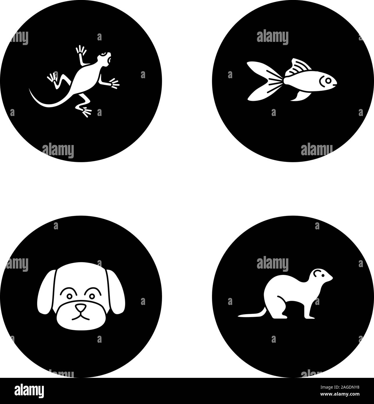 Animaux domestiques glyphe icons set. Lézard, poisson rouge, maltaise, chien, furet. Vector silhouettes blanc illustrations de cercles noirs Illustration de Vecteur