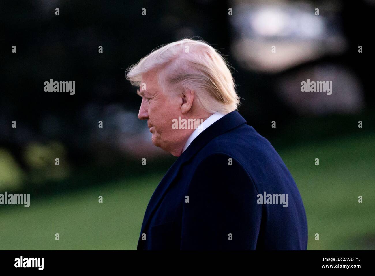 Le président américain, Donald J. Trump marche à travers la pelouse Sud de la Maison blanche avant le départ par un marin en route vers le Michigan pour un rassemblement, à Washington, DC, USA, 18 décembre 2019. La Chambre des représentants des États-Unis s'apprête à voter sur deux articles de destitution contre le président américain, Donald J. Trump, d'abus de pouvoir et de l'obstruction du Congrès. Si elle est adoptée, serait l'Atout devenir le troisième président des Etats-Unis, de l'histoire à être destitué. Une mise en accusation entraînerait un procès au Sénat des États-Unis, où un vote des deux tiers de l'approbation serait nécessaire afin de retirer en tant que président d'Atout.Crédit : Michael Reyno Banque D'Images