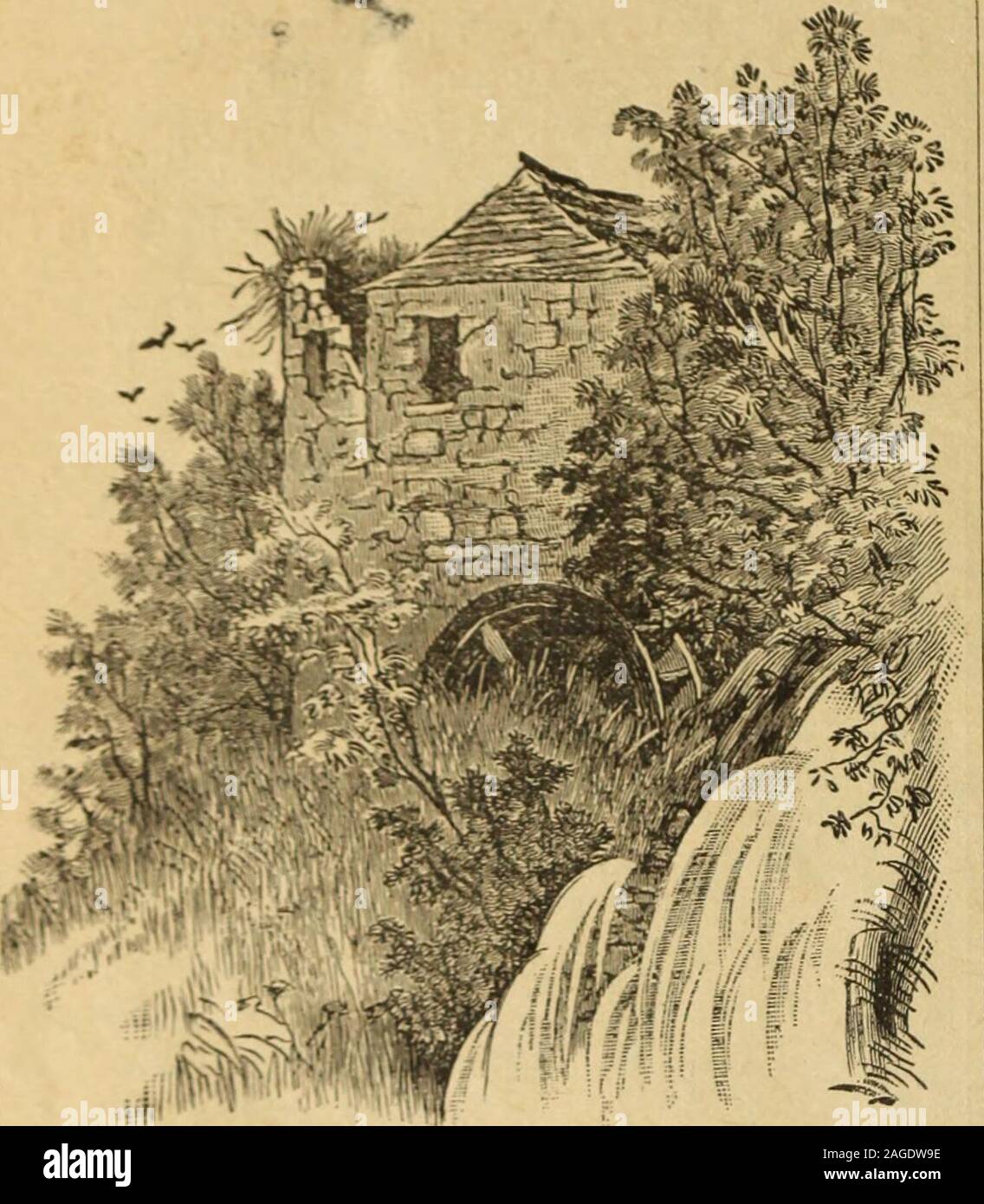 . Canadischer Calendrier familien fuer das Jahr 1892. t unne dans der Walli an der Krick,- ihnscht « 1 ii *n Grup vun gecle Weide schteh ? Ht ah n im Toolhaus Tompeik,en brique ne shiesse dans die lange babiller Heh ? Silwer Weidelaab ?seht dorcha Geschpiel juscht,Wann der Wind WEHT dieNeschtn- das wenig dort im Schatte kiehl,Recht mitte dans schteht geele de Weide ?ue 8 altfaeshcn gnt K.unne-Mieh.1. Dir Dach geboge gsunke wie n Grab, &gt ; : - hindle halb gedeckt mit Moos, geschteipert verschprunge Die Wend péché, glaab-rkuch Kraecks wakst, aus der frissen vágott kalódás gyertyán Gras.. mit Geweb Schpinne Von Neschter,bedeckt, mache Banque D'Images