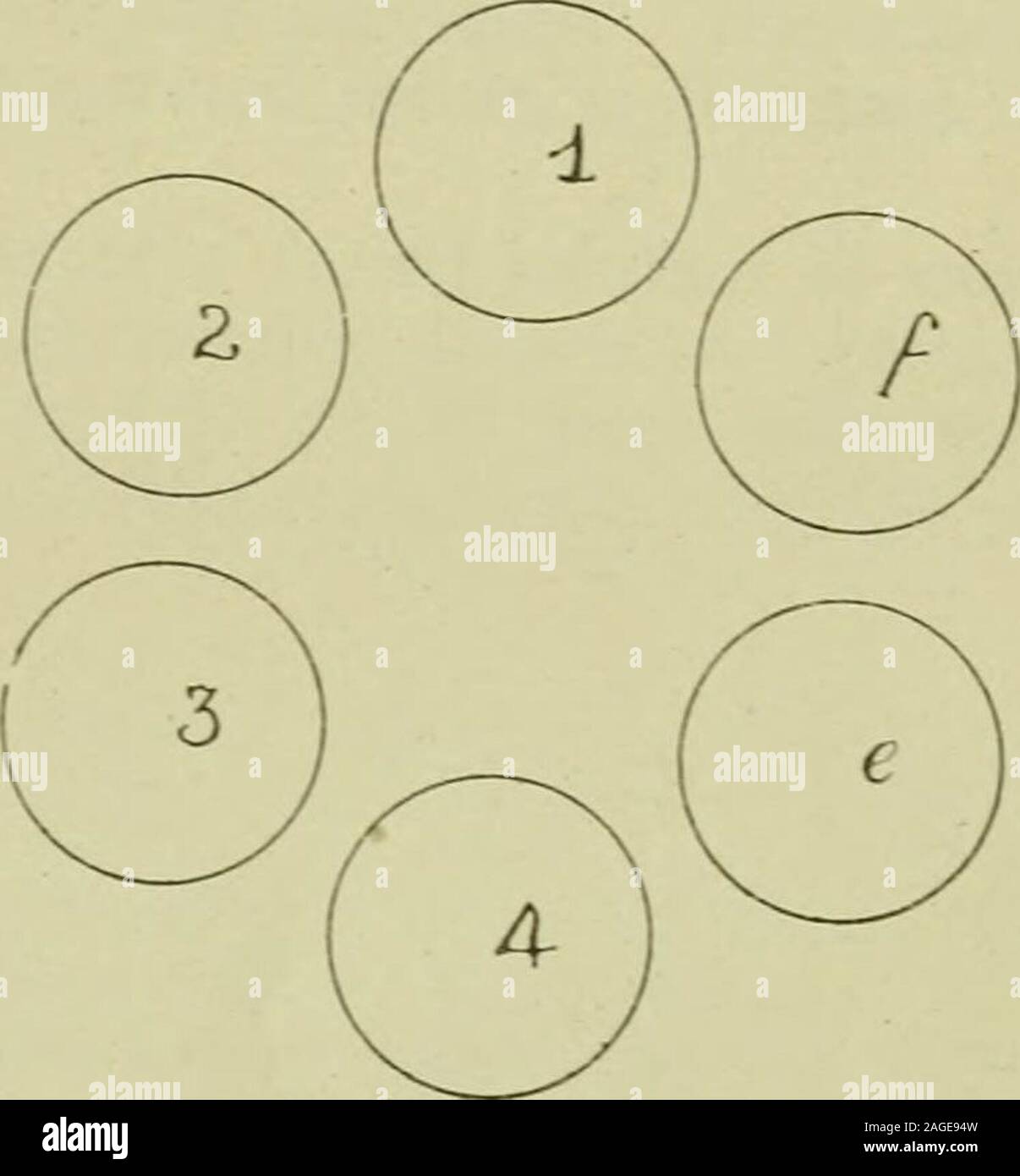 . Le sucre de canne ; un manuel sur l'agriculture de la canne à sucre, la fabrication de sucre de canne, et l'analyse du sucre produits maison. Dans Datibree ^. Fig. 153 256 CHAPITRE XII Martinique, avant 1850, mais le matériel, à l'arrivée à Paris, a été trouvé avoir fermenté. Références AU CHAPITRE XII. r. Bulletin de pharmacie, 1911, 3, 371. 2. Département américain de l'Agric, Div. de Chem., Bull. 3. S.C., 1898, 30, 491. 4. Int. Sug. Jour., 1903, 5. Chapitre XIII l'action de la chaleur, des alcalis et acides onSugars et jus de canne à sucre dans le processus de fabrication du sucre le jus de canne est soumis à l'un de fluence Banque D'Images