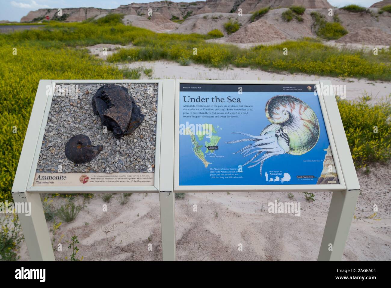 BADLANDS NATIONAL PARK (DAKOTA DU SUD) - 16 juin 2014 : une affiche fournie par le National Park Service qui explique au sujet de fossiles d'Ammonites qui ont été Banque D'Images