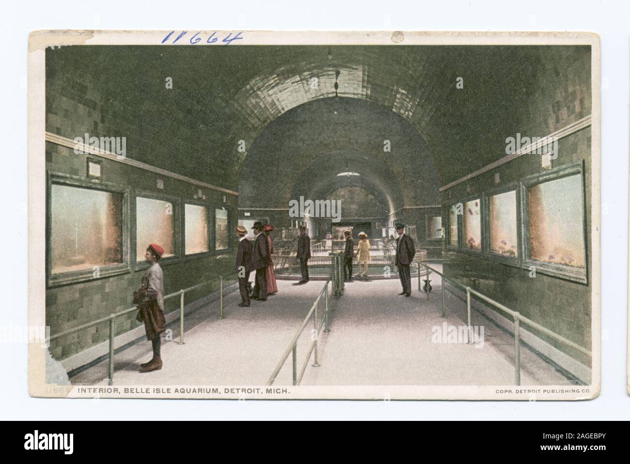 1907-1908. Première série avec divisé dos (pour le message et l'adresse) exclusivement. ; l'Intérieur, de l'Aquarium de Belle-isle, Detroit, Mich. Banque D'Images