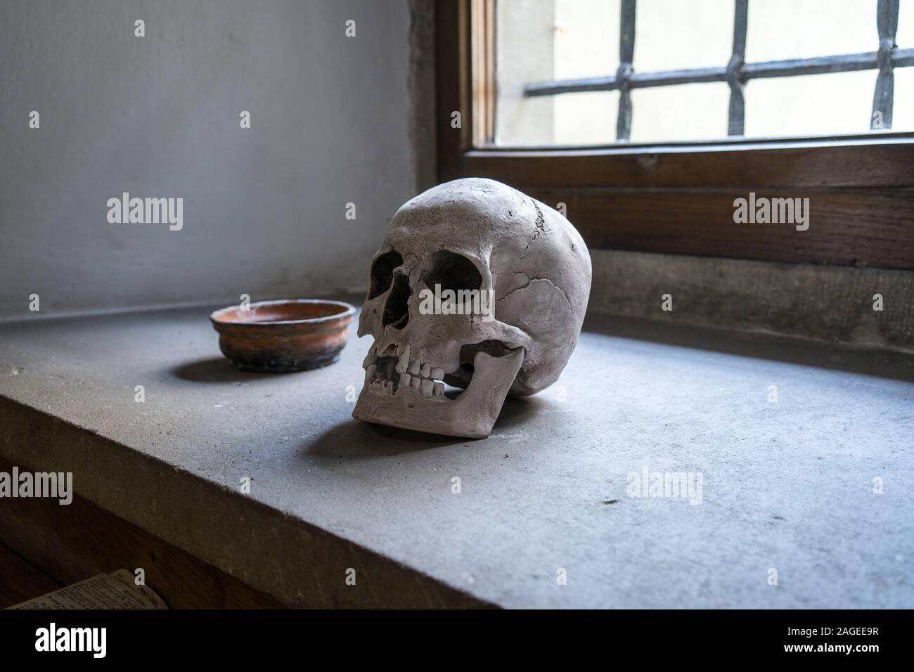 Crâne sur un rebord de fenêtre pendant la journée - muse pour un écrivain Banque D'Images