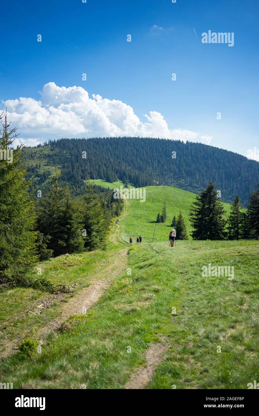 Photo verticale des personnes marchant dans un champ herbacé à proximité un sentier aux courbes entouré de hautes montagnes Banque D'Images