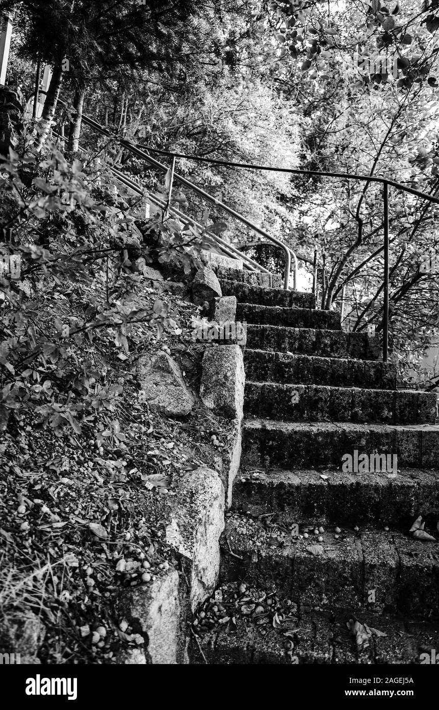 Échelle de gris sur l'ancien escalier avec mains courantes sur la colline entouré de verdure Banque D'Images