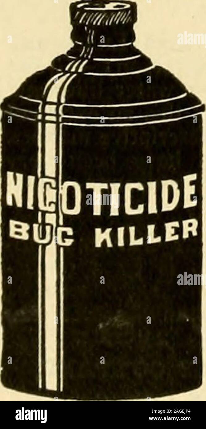 . La fleuriste américain : un journal hebdomadaire pour le commerce. Le Clipper le fera. Yoor forthem Demander au concessionnaire. S'ils n'ont pas les a, ci-dessous est theprice : aucun 1-12-inch $5 : No 2-15-inchMower. 16 : n° 3 et 18-inch.$7 ; n° 4-21-iD.Tondeuse. $8. Envoyer, de mandat-poste ou reg. lettre.. Le meilleur Bug Killer et Bloom de veille. La preuve pour écrire à P. R. PALETHORPECOMPANY, Louisville, KY. im 6E0. KELLER & Son, TUIIER0MANUFA8 de pots de fleurs. Avant d boylng prioei pour écrire. 381-363 rue Herndon, près de Wrlghtwood GMIOACO Ave.,, malade. Ces pots rouges • NORMES FULL SIZE LARGE ET BAS,CASSEROLES AMPOULE ET AZAL Banque D'Images