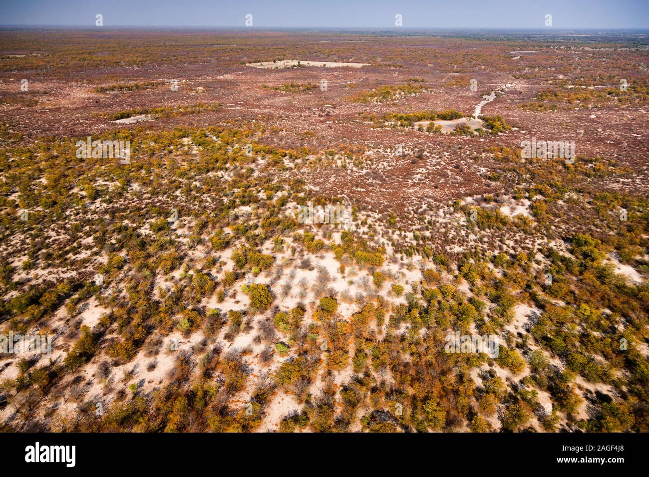 Buissons et zone désertique près de Maun, vue aérienne du delta d'Okavango, vol en hélicoptère, Botswana, Afrique australe, Afrique Banque D'Images